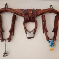 Gioghi in legno liguri per buoi