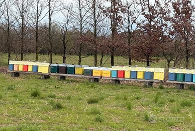 Api nuclei - famiglie