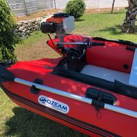 Tender motorizzato e carrello d'appendice