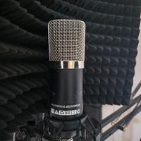 Microfono TONOR BM-700 + Scheda Audio Behringer