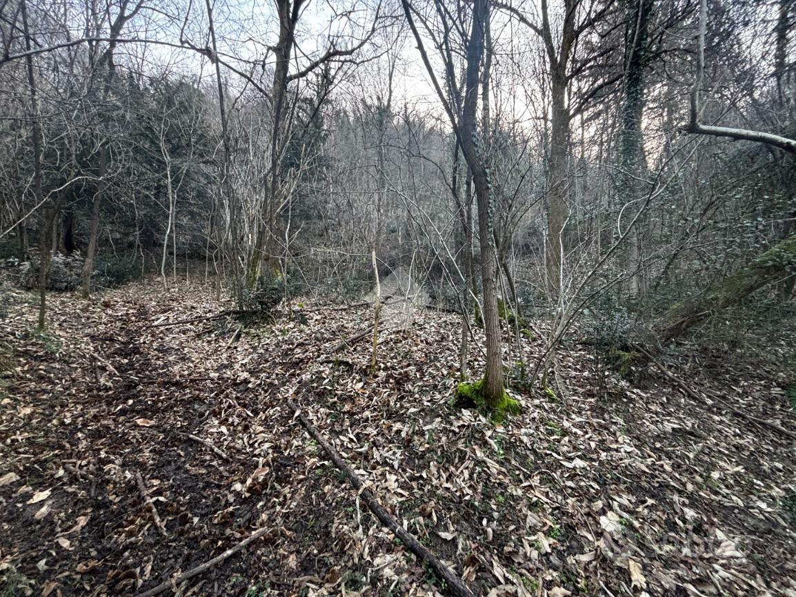 TER. AGRICOLO A LIERNA - Vista 5