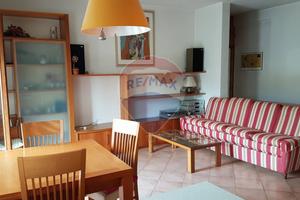 Appartamento - Belluno