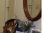 Immagine 13