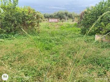 Terreno con fabbricato