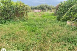 Terreno con fabbricato