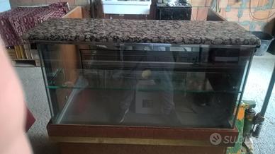 Vetrina fredda da bar