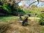 Immagine 26