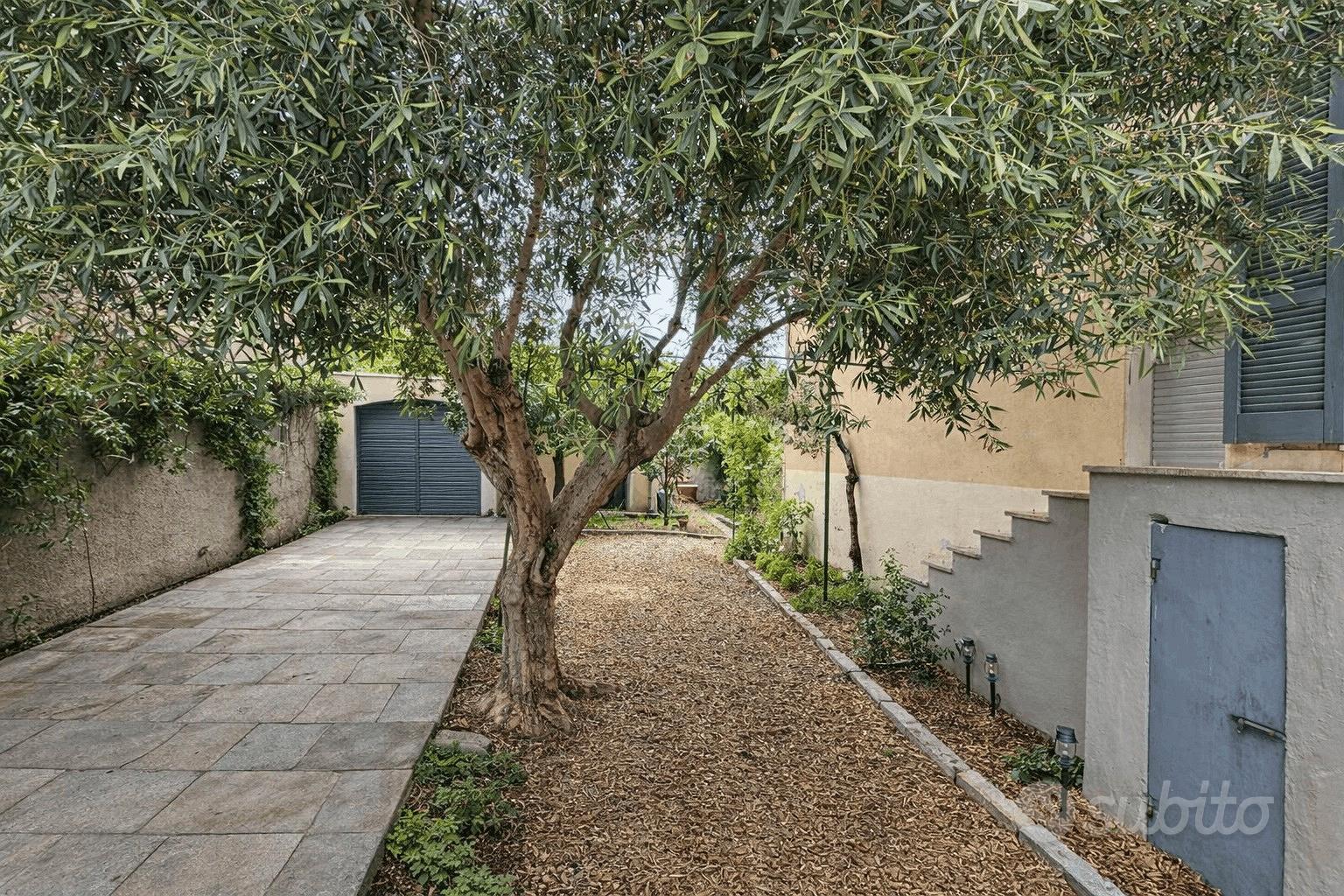 Apartment in Terralba, Aristanis/Oristano - Vista 2