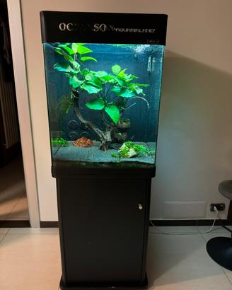 Mobile più acquario 60*60*120