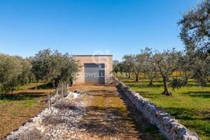 Terreno - Ostuni
