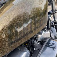 1200 HARLEY DAVIDSON - FLAKE GOLD