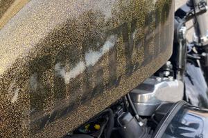 1200 HARLEY DAVIDSON - FLAKE GOLD