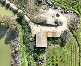TER. AGRICOLO A ALCAMO