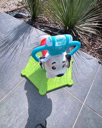 Cagnolino saltella e gira