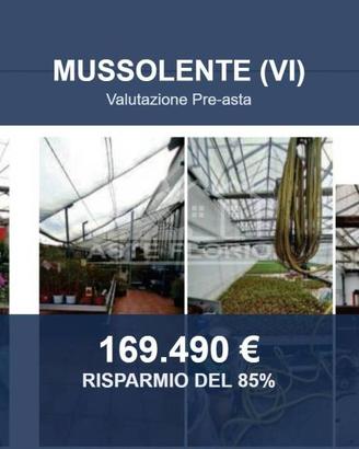Immobile in asta di 7812 m² a Mussolente