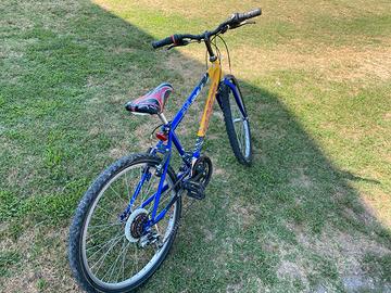 Bicicletta mountain bike