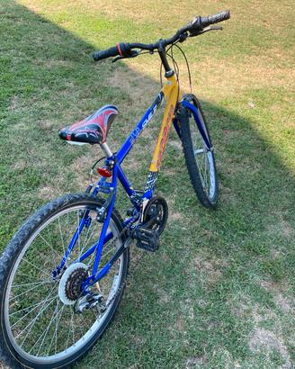 Bicicletta mountain bike
