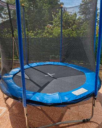 Trampolino elastico 