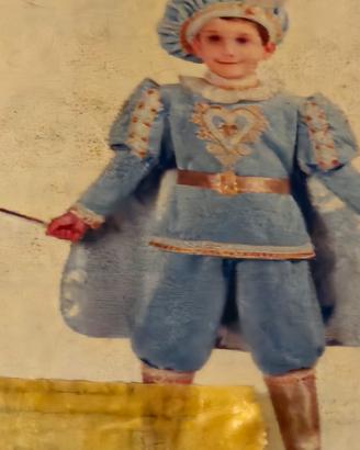 Costume carnevale Principe Azzurro