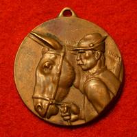 Medaglia adunata 10° alpini - ROMA 1934
