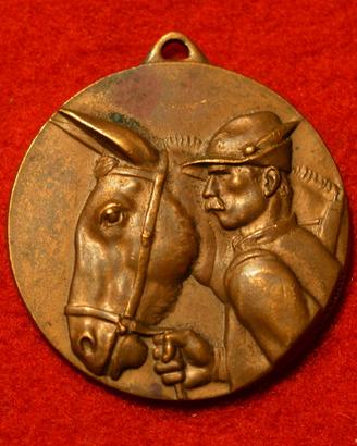 Medaglia adunata 10° alpini - ROMA 1934