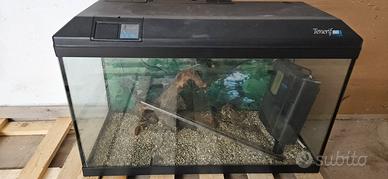 acquario Askol Tenerife88