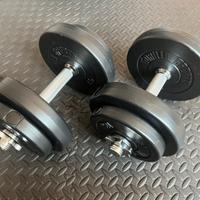 Set di Manubri Gorilla Sports 20kg