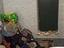 Immagine 16