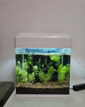 Acquario 16 litri