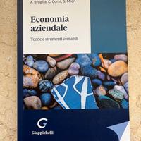 Economia aziendale, teorie e strumenti contabili