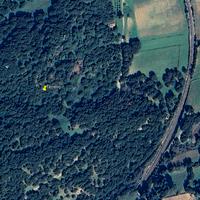 Terreno agricolo con sughereta