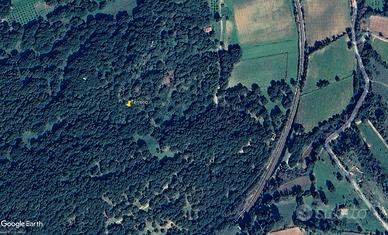 Terreno agricolo con sughereta