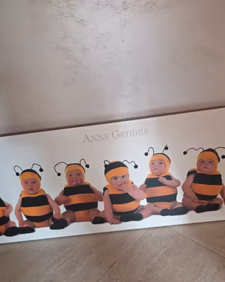 Quadro Stampa su Tela Anne Geddes "Ape" - 30x90 cm