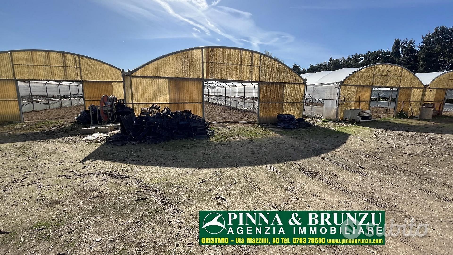 Siamaggiore - Azienda serricola - Vista 2