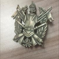 Fregio varie armi accademia militare