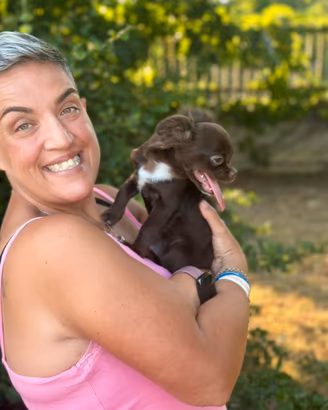 Ultimissimo chihuahua pelo lungo fai tu il PREZZO