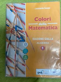 Libro matematica prima superiore