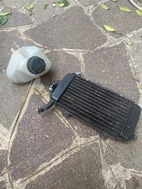 Radiatore + vaschetta zip sp
