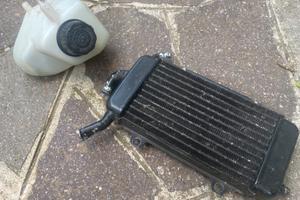 Radiatore + vaschetta zip sp
