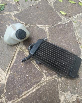 Radiatore + vaschetta zip sp