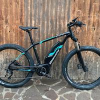 Bianchi Ascent