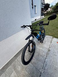 Bici elettrica