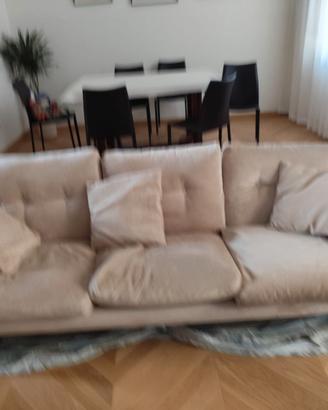 Divano coronado ritapezzato.