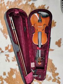 Violino