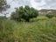 Immagine 14