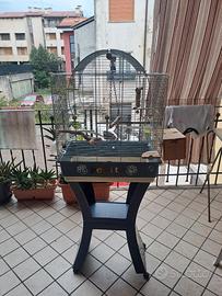 gabbia per uccellini.