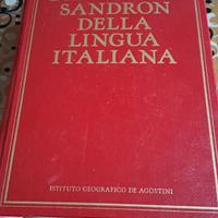 Dizionario Sandron della lingua italiana
