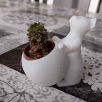 Vasetto decorativo Gatto bianco 3D 