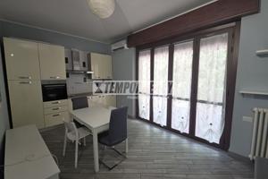 Appartamento di due locali con terrazzo
