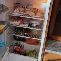 frigo da incasso con congelatore 